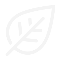 葉子.png